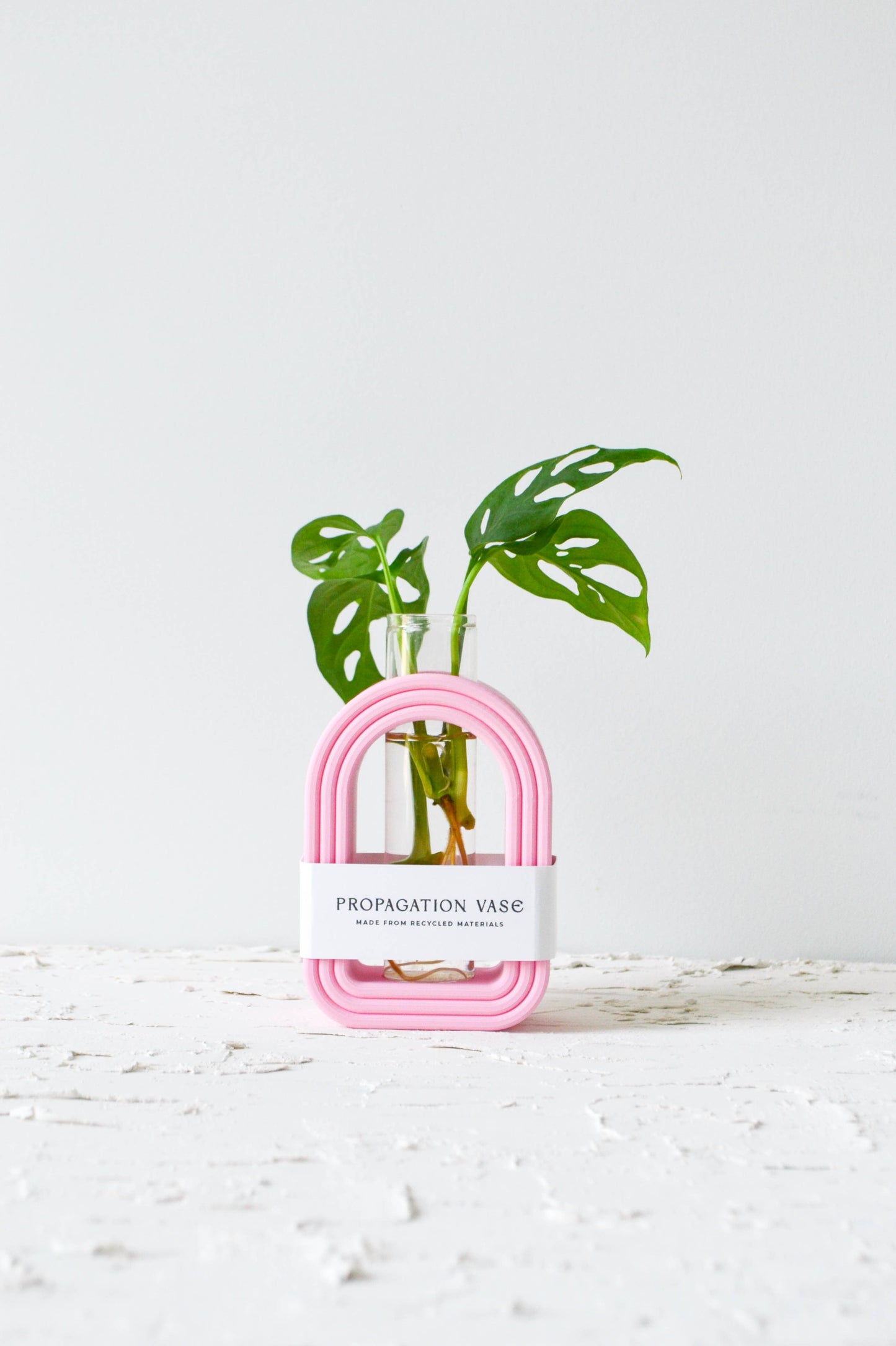 Pink Propagation Stand