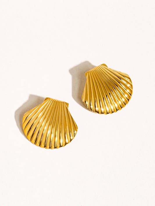 Shell Stud Earrings